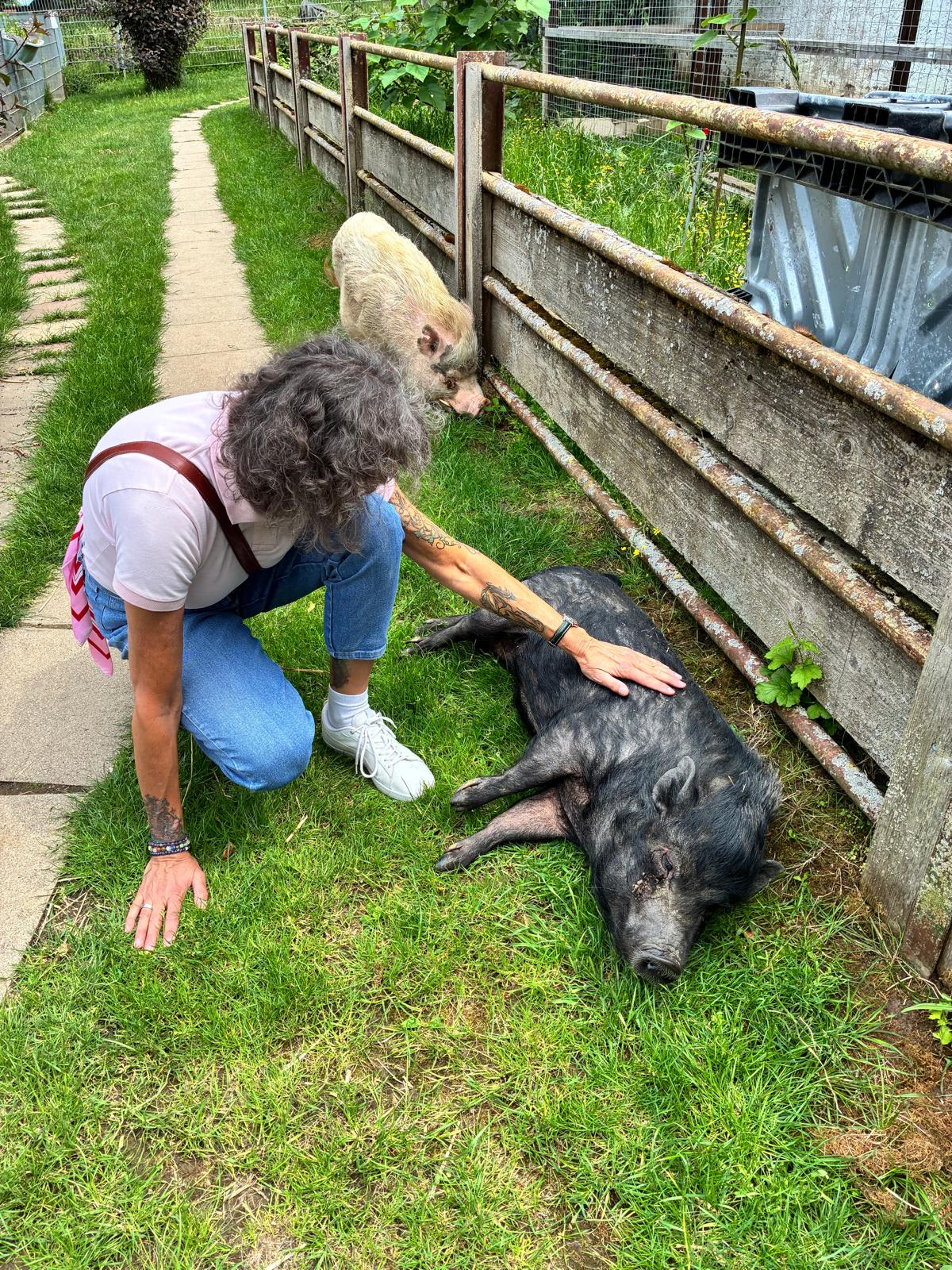Herzensprojekt: Futter und Freude für 150 Tiere